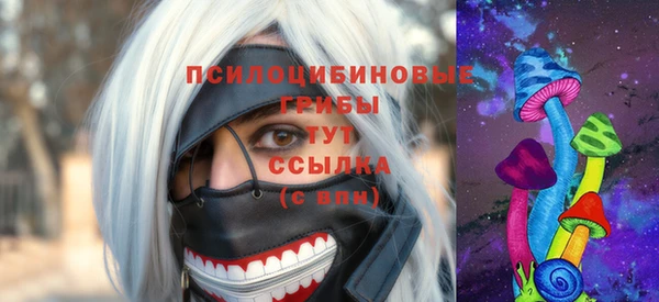 МДПВ Абдулино