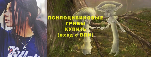 винт Абаза
