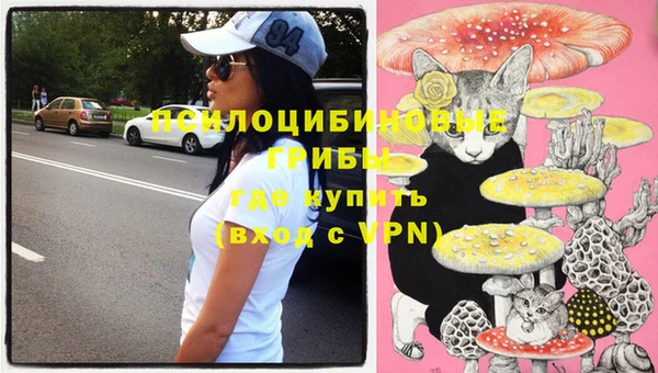 винт Абаза
