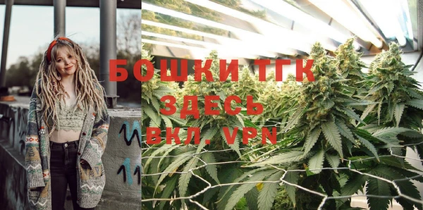 винт Абаза
