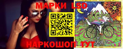 таблы Новозыбков