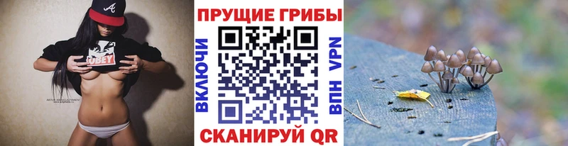 Псилоцибиновые грибы прущие грибы как найти закладки сайты даркнета наркотические препараты Фрязино