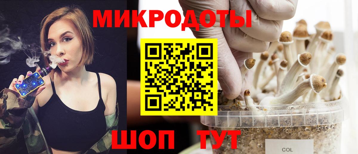 Галлюциногенные грибы Psilocybine cubensis  Вход с VPN  Фрязино  Галлюциногенные грибы Cubensis 