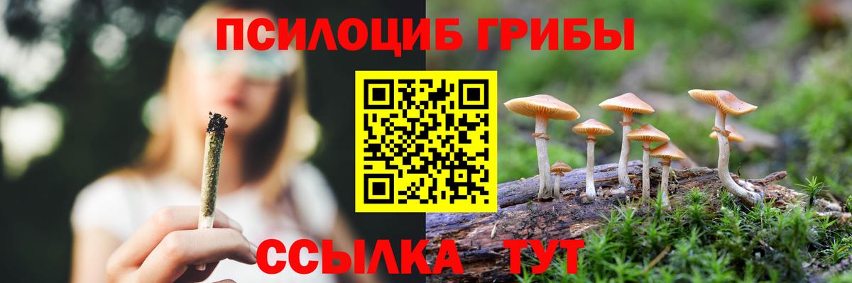 Галлюциногенные грибы мухоморы Фрязино